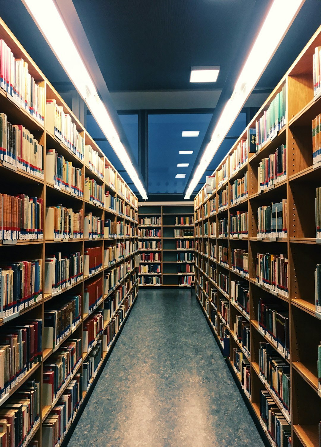 library bookshelves biography section